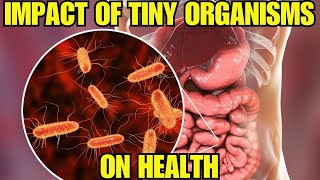 quotYour Gut Microbiome The Hidden Key to Healthquot [upl. by Averill679]