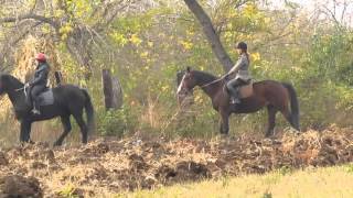 ONLY THE HORSES  Girls riding friesian horse in the woods [upl. by Neelon]