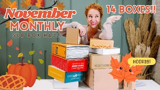 Monthly Subscription Box Haul  November 2023  New Boxes  Holiday Gifts [upl. by Ennad]