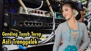 TAYUB TEROP TRENGGALEK BAS GLERR [upl. by Aretahs]