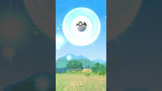 Get in the Ball Pokemon Go 2024 shorts gameplay pokemon pokemongo fyp foryou foryoupage [upl. by Eimmac553]