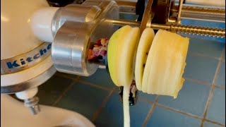 Making Baked Apple Chips With Spiralizer [upl. by Jewett]