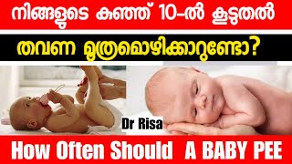 How Often Should a Baby PeeBaby Care Tips Malayalam [upl. by Fritzsche975]