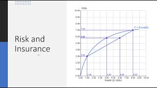 Risk and Insurance Graph [upl. by Socram]