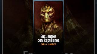 🐍 Encuentros con Reptilianos ¿Mito o realidad 🌏 aliens [upl. by Rundgren]