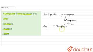 In Ginkgoales the male gametes are   12  DIVERSITY IN LIVING WORLD PLANT DIVERSITY  BIO [upl. by Cinemod]