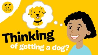 Thinking of rehoming a dog  Dogs Trust [upl. by Sucramed]