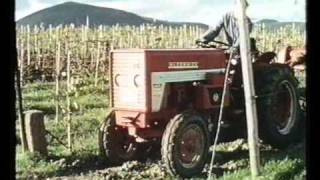 IHC McCormick 523 Werbefilm  Teil 2 von 2 [upl. by Lydnek221]