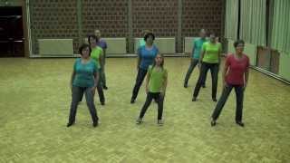 COOLEY S REEL  Line Dance [upl. by Denie]