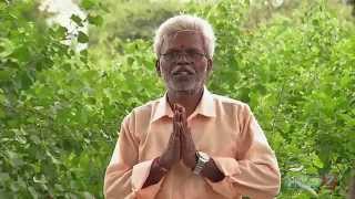 Thazhuthaalai  Plant  your herbal garden  Poovali  News7 Tamil [upl. by Sontich]