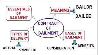 Contract of Bailment Law of Contracts common law system [upl. by Einnos]