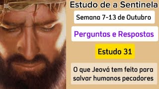 Estudo de a Sentinela Perguntas e Respostas Semana 713 de Outubro 2024 JW Brasil [upl. by Esilram]