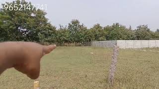 OPEN PLOTS FOR SALE  GOPAN PALLY  VATINAGULA PALLY [upl. by Mariquilla]