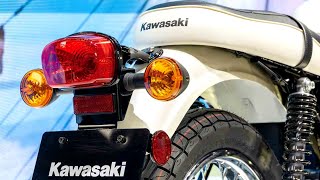 New 2024 Kawasaki W230 Close Look [upl. by Kilah]