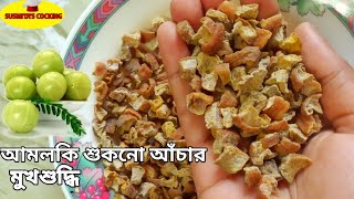 আমলকি শুকনো আঁচার  মুখশুদ্ধি  Amlokir dry achar  Salted Amla Candy [upl. by Arne]