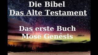 DIe Bibel Das erste Buch Mose Genesis [upl. by Elbert]