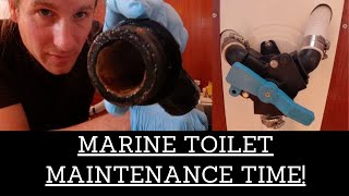 Jabsco YValve Servicing On A Lavac Marine Toilet  Gasket Replacements and Calcium Removal  Ep 44 [upl. by Enelrad]