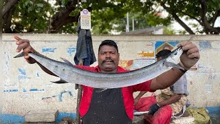 KASIMEDU SPEED SELVAM MURAL FISH CUTTING 💥 IN KASIMEDU FISH CUTTING 💥 [upl. by Nevag]