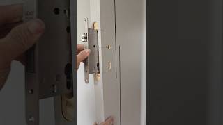 Professional Wooden Door Lock Installation for Residential Interior Design [upl. by Ettesyl]