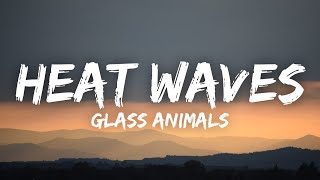 Glass Animals  Heat Waves Lyrics [upl. by Sheff552]