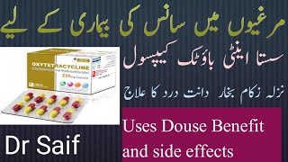 oxytetracycline capsules uses in Urdu oxytetracycline capsules benefits and side effects Dr Saif [upl. by Antonietta]