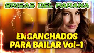 Brisas del parana  Enganchados para Bailar Vol1 [upl. by Gilletta123]