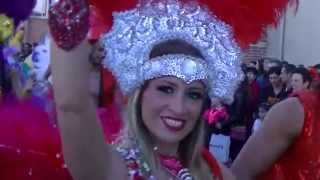 Carnaval dAlbi 2014 avec Meu Brasil Show [upl. by Nicolis]