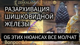 ШИШКОВИДНАЯ ЖЕЛЕЗА КАКИЕ ОЩУЩЕНИЯ КАК РАСКРЫВАЕТСЯ СИЛА И О ЧЁМ ЕЩЕ НИКТО НЕ ГОВОРИЛ [upl. by Gilcrest775]