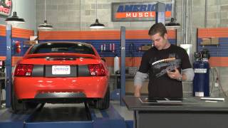 Mustang Black Rear Deck Lid Blackout Decal 9904 All Review [upl. by Hannahc695]