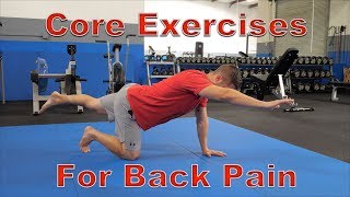 FIVE Best Core Exercises for Back Pain Protects Spine [upl. by Eal]