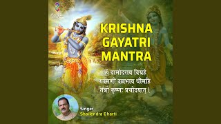 Krishna Gayatri Mantra Om Damodaraya Vidmahe Rukmani Vallabhaya [upl. by Spanos]