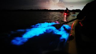 Youve Gotta Try Bioluminescence Kayaking in Cocoa Beach [upl. by Adnuhsed824]