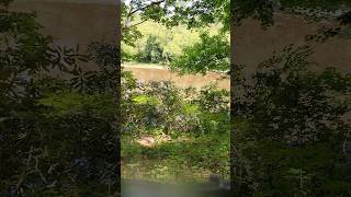 Riding the greenbrier river trail ebike trail greenbrier biketrails [upl. by Ydospahr725]