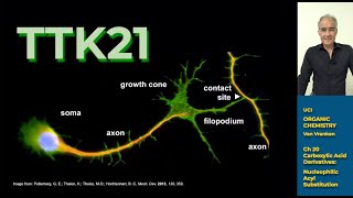 Organic Chemistry III Lec 16 [upl. by Annoval]