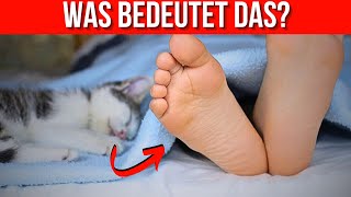 Warum Ihre Katze auf Ihren Füßen schläft Schockierende Fakten die Sie wissen MÜSSEN [upl. by Garretson]