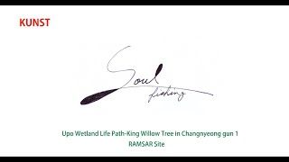 Soul FishingUpo Wetland Life Path King Willow Tree in Changnyeong gun 1 [upl. by Ihsir681]