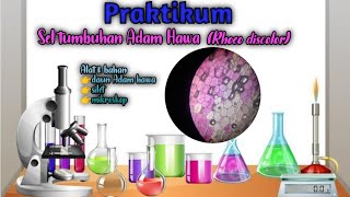 Praktikum IPA  Pengamatan sel daun tumbuhan Rhoeo discolor  materi IPA kelas 7 [upl. by Enialehs]