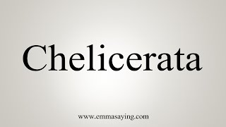 How To Say Chelicerata [upl. by Alphard386]