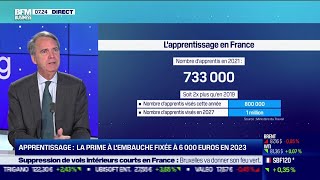 Apprentissage la prime à lembauche fixée à 6000 euros en 2023 [upl. by Kovacs797]