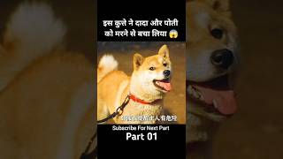 A Tale Of Mari And Three Puppies Part 1 😱  short shorts dog movieexplainedinhindi [upl. by Tita]