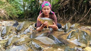 How to catch giant fish to sell at the market  Daily life of mute girl and 3legged dog  Lý Tử Cai [upl. by Adnohsed265]