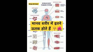 मानव ऊतकhuman tissuebiology classcurrent Affairs todayneet 2024ssc exam [upl. by Ieppet]