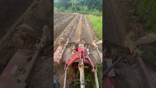 Ridge and furrow digging in farmland  good tools and machinery improve work efficiency [upl. by Giefer]