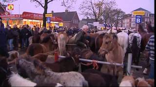 Drukte op de paardenmarkt in Hedel HD [upl. by Allac]