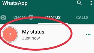 How To Fix My Whatsapp Status Not Showing Other Person Problem Solve [upl. by Akcirre]