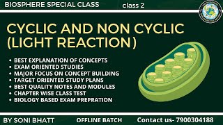 CYCLIC AND NON CYCLIC PHOTO RESPIRATION  LIGHT REACTION PLANT PHYSIOLOGY biology neet class11 [upl. by Arrat]