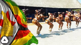 ZIMBABWE 10 Most Amazing African Dance Moves [upl. by Auqinom128]