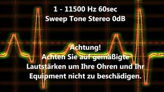 1  11500 Hz Sweep Tone Audio Sweep Ton wechselnde Frequenz [upl. by Einaffyt17]