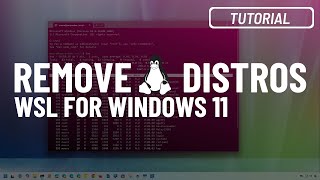 Windows 11 Uninstall a Linux distro from WSL 3 methods [upl. by Wojcik]