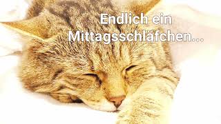 Endlich ein Mittagsschläfchen [upl. by Charlotta]